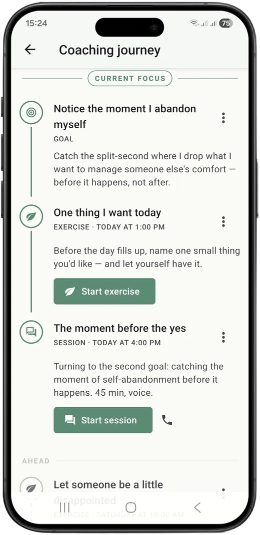Your coaching plan over time
